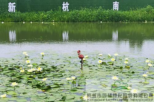 彩运网(中国游)官方网站