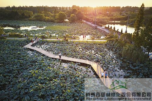 彩运网(中国游)官方网站