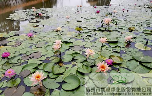 彩运网(中国游)官方网站