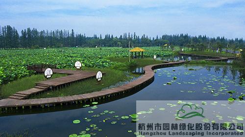 彩运网(中国游)官方网站