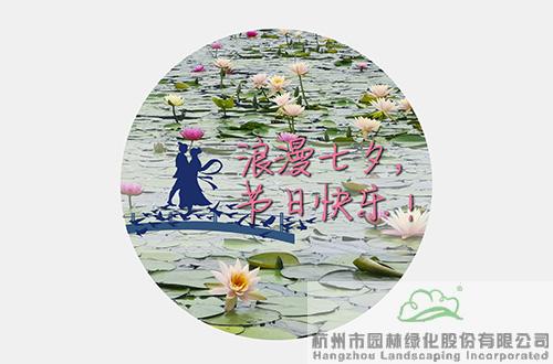 彩运网(中国游)官方网站