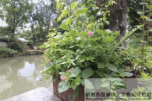 彩运网(中国游)官方网站