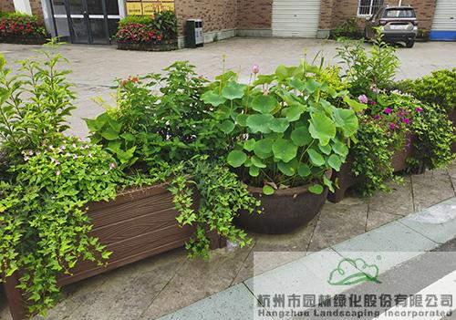 彩运网(中国游)官方网站