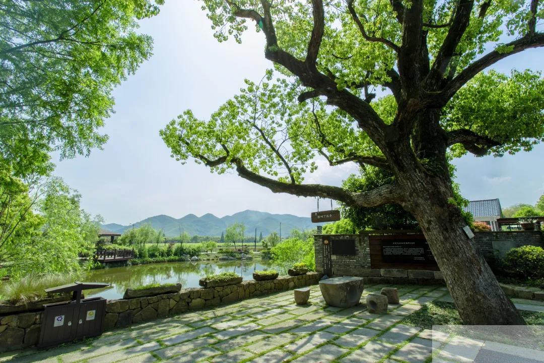 彩运网(中国游)官方网站