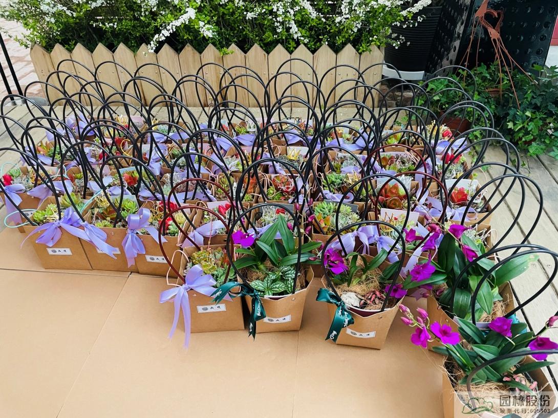 彩运网(中国游)官方网站