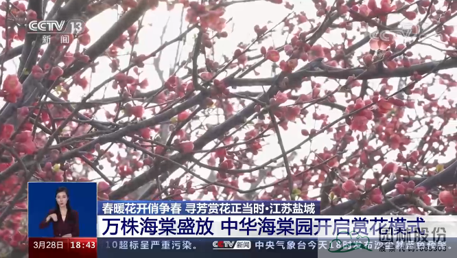 彩运网(中国游)官方网站