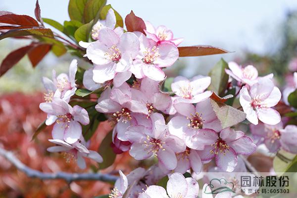 彩运网(中国游)官方网站