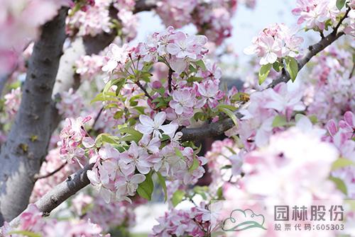 彩运网(中国游)官方网站