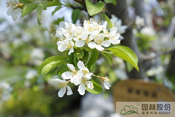 彩运网(中国游)官方网站