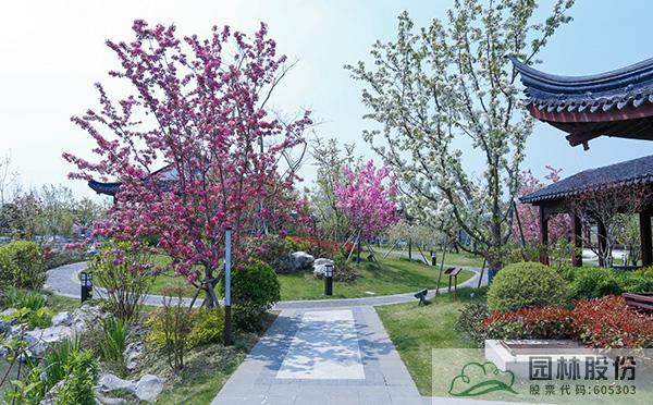 彩运网(中国游)官方网站