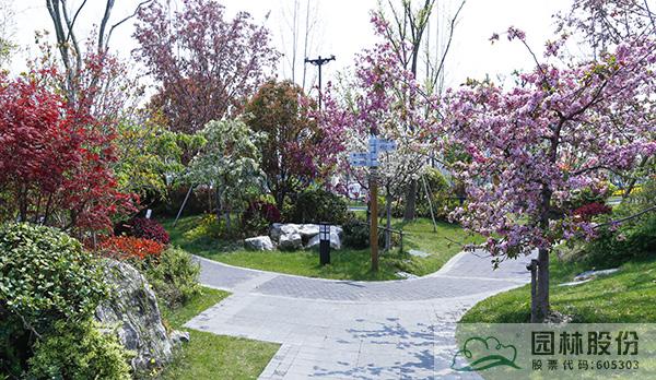 彩运网(中国游)官方网站