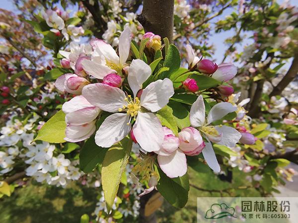 彩运网(中国游)官方网站