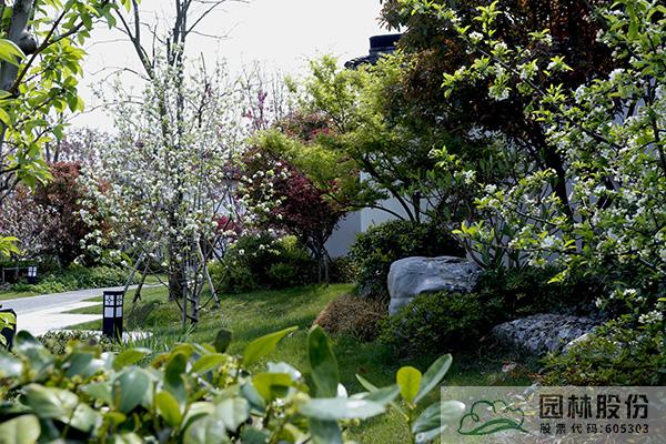 彩运网(中国游)官方网站