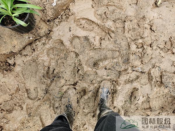 彩运网(中国游)官方网站