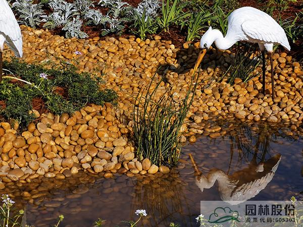 彩运网(中国游)官方网站