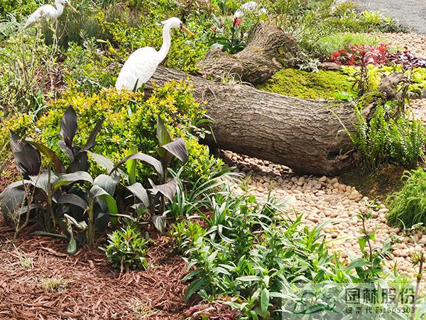 彩运网(中国游)官方网站