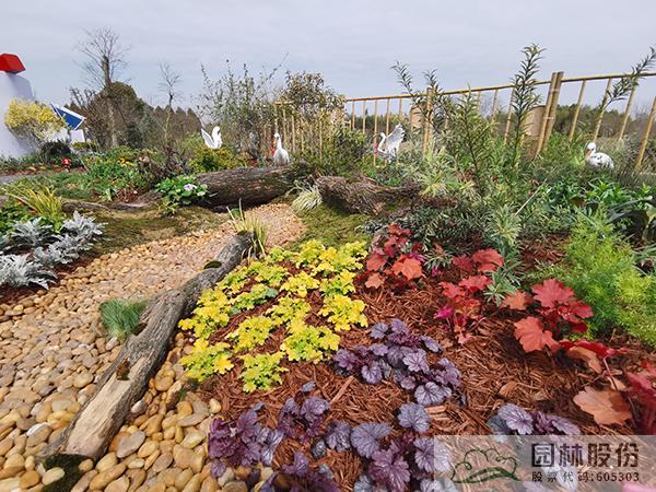 彩运网(中国游)官方网站