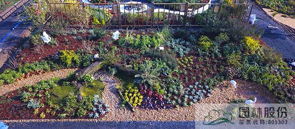 彩运网(中国游)官方网站