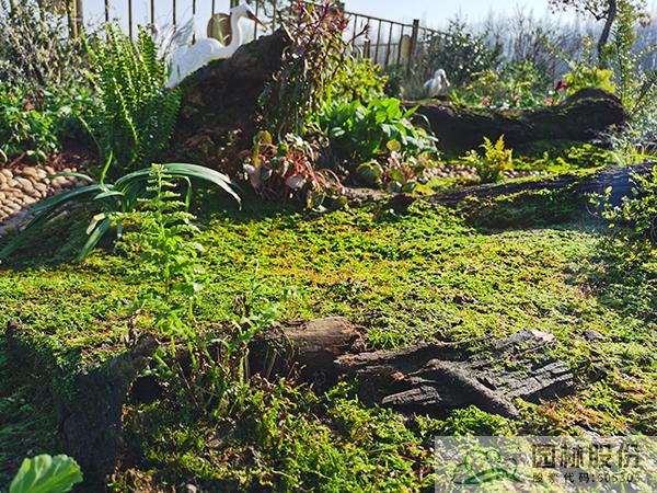 彩运网(中国游)官方网站