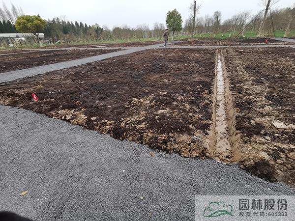 彩运网(中国游)官方网站