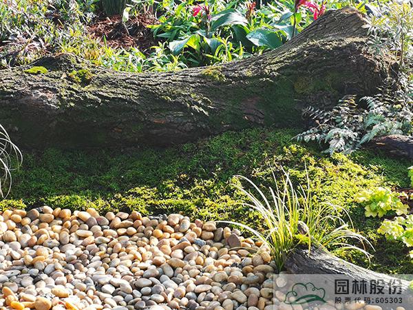 彩运网(中国游)官方网站