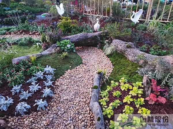 彩运网(中国游)官方网站