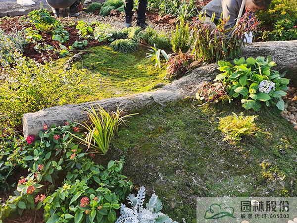 彩运网(中国游)官方网站