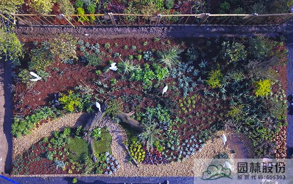 彩运网(中国游)官方网站