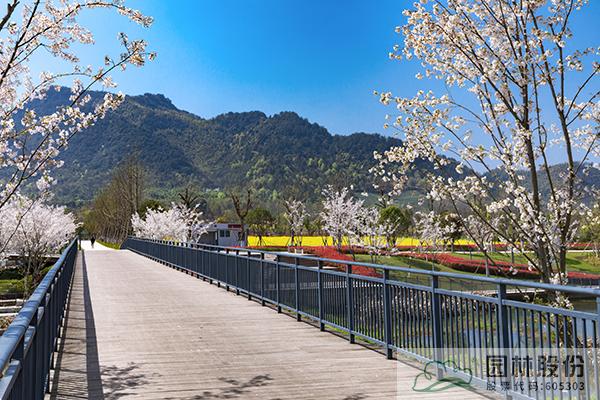 彩运网(中国游)官方网站