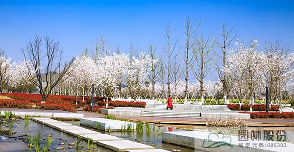 彩运网(中国游)官方网站