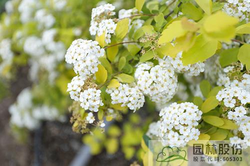 彩运网(中国游)官方网站