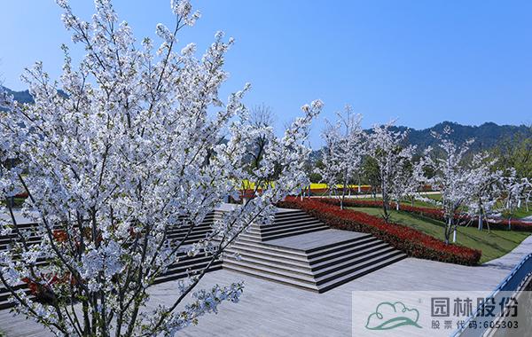 彩运网(中国游)官方网站