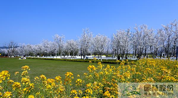 彩运网(中国游)官方网站