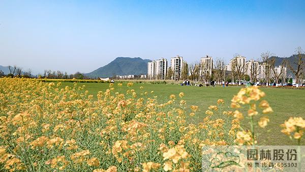 彩运网(中国游)官方网站