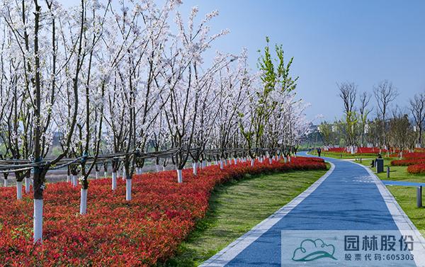 彩运网(中国游)官方网站