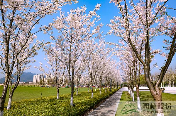 彩运网(中国游)官方网站