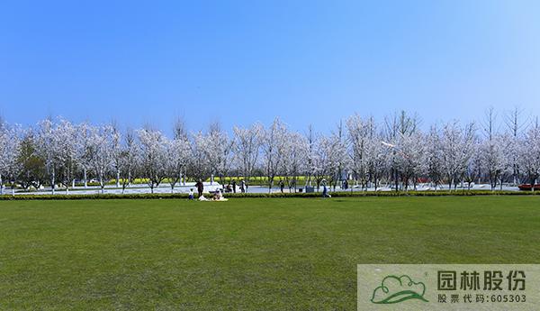 彩运网(中国游)官方网站