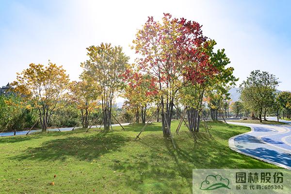 彩运网(中国游)官方网站