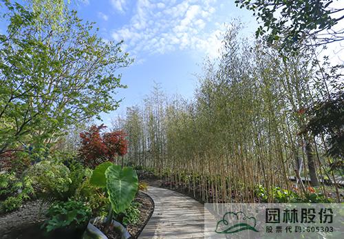 彩运网(中国游)官方网站