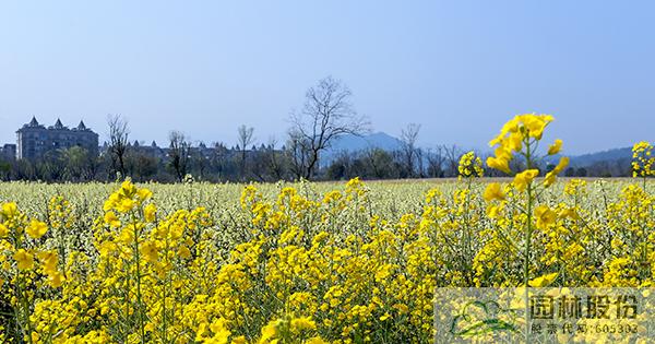 彩运网(中国游)官方网站