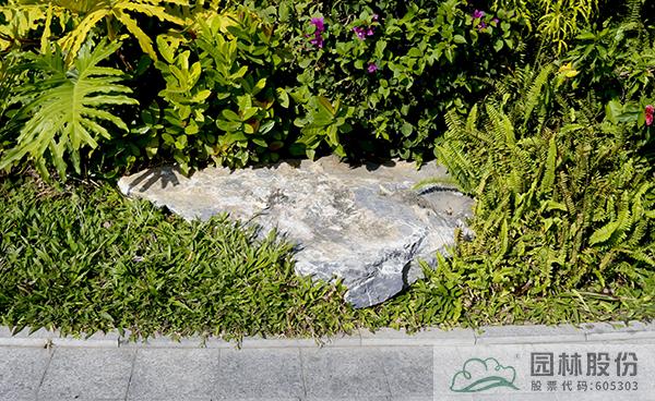 彩运网(中国游)官方网站