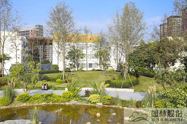 彩运网(中国游)官方网站