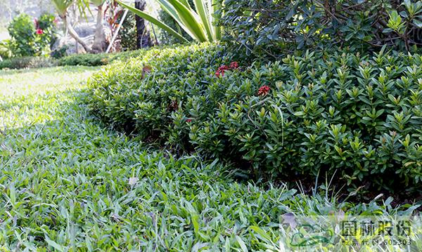 彩运网(中国游)官方网站