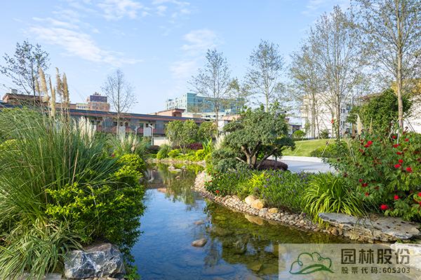 彩运网(中国游)官方网站