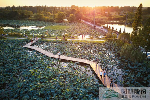 彩运网(中国游)官方网站