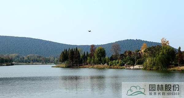 彩运网(中国游)官方网站