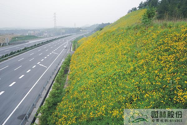 彩运网(中国游)官方网站