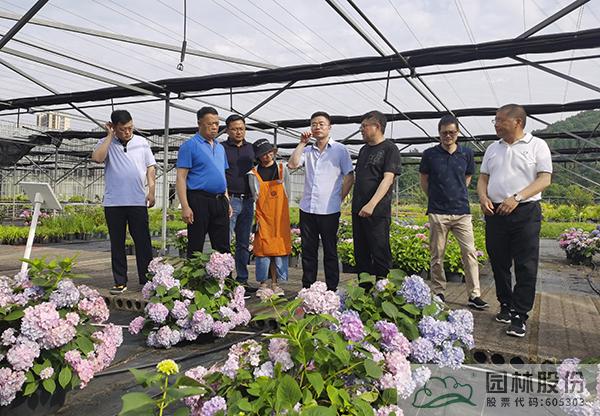 彩运网(中国游)官方网站