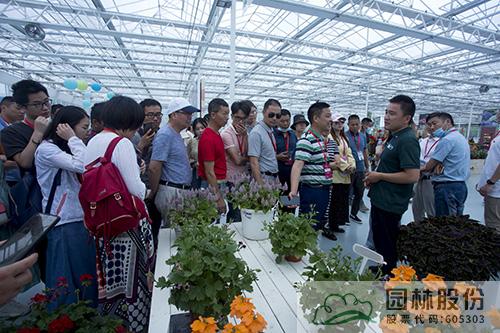 彩运网(中国游)官方网站