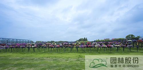 彩运网(中国游)官方网站